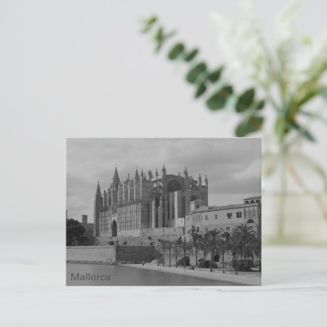 Carte Postale postal catedral de Palma de Mallorca (Debout devant)