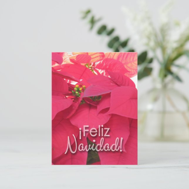 Carte Postale Postal Xmas 001 - Spanish - Postcard (Debout devant)