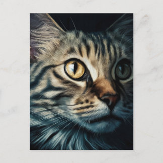 Carte Postale Postcard