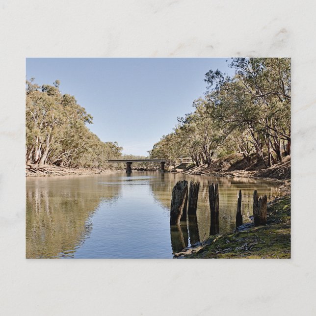 Carte Postale Postcards (Devant)