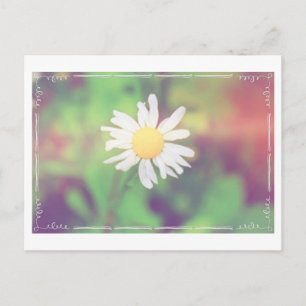 Carte postale Postcrossing Cottage Daisy