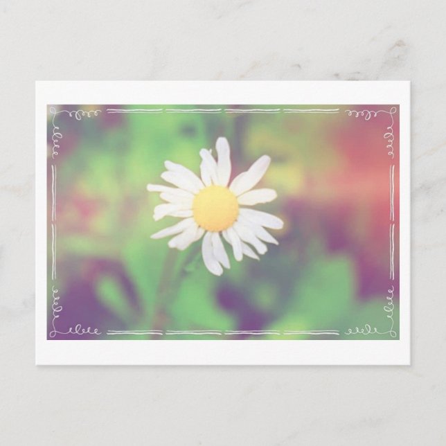 Carte postale Postcrossing Cottage Daisy (Devant)