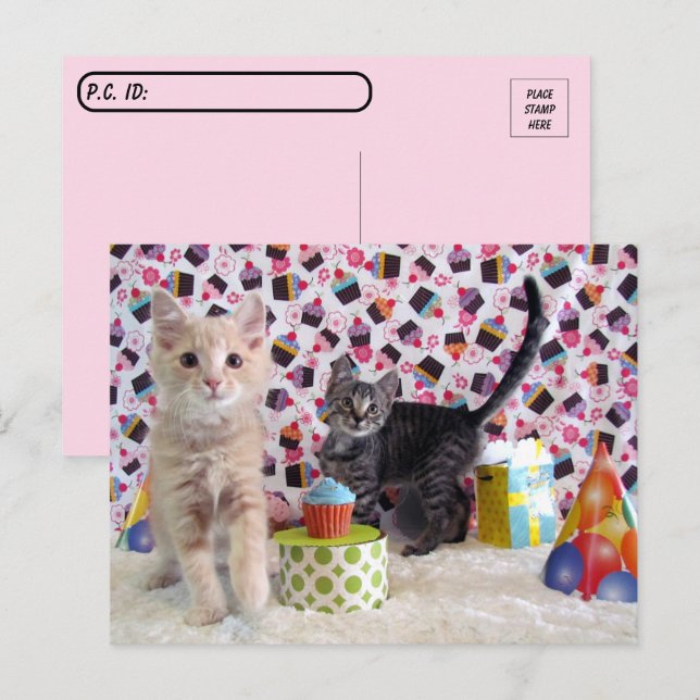 Carte Postale Postcrossing - Joyeux Anniversaire Chats (Devant / Derrière)