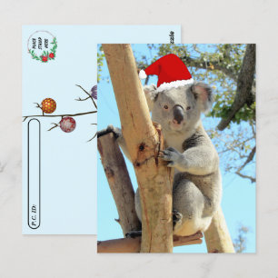 Carte Postale Poste - Koala Christmas