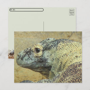 Carte Postale Poste - Komodo Dragon