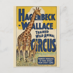 Carte postale Poster Circus