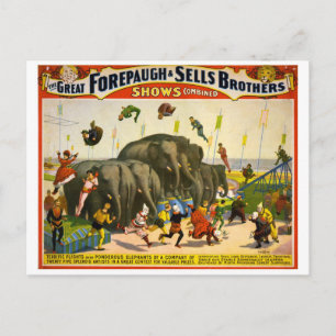 Carte postale Poster Circus