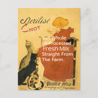 Carte Postale Poster de lait Vintage Kitten