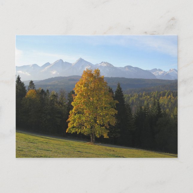 Carte Postale Poster de l'automne à Tatras (Devant)