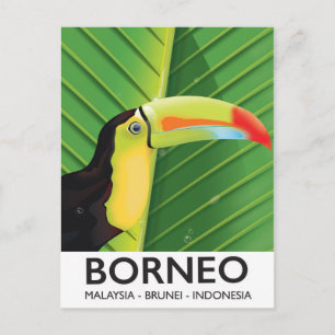 Carte Postale Poster de voyage Bornéo Toucan