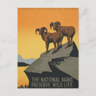Carte Postale Poster de voyage du parc national vintage Retro