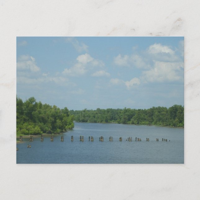 Carte Postale Poster des terres humides (Devant)