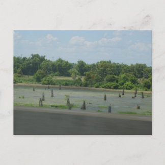 Carte Postale Poster des terres humides