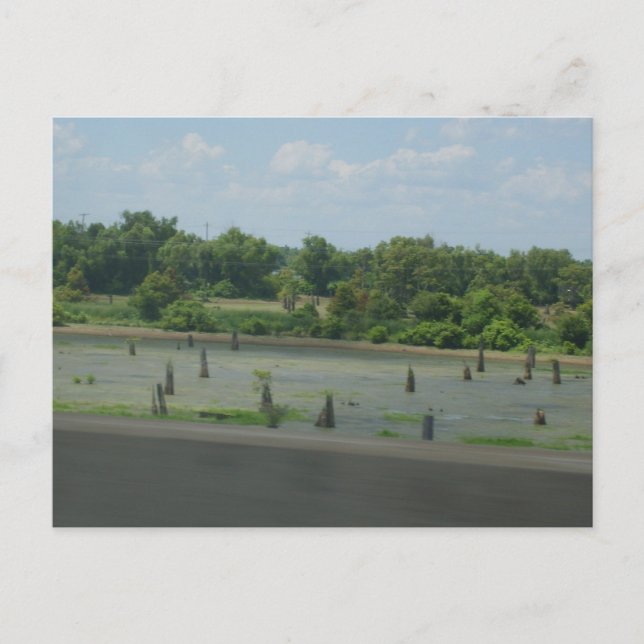 Carte Postale Poster des terres humides (Devant)