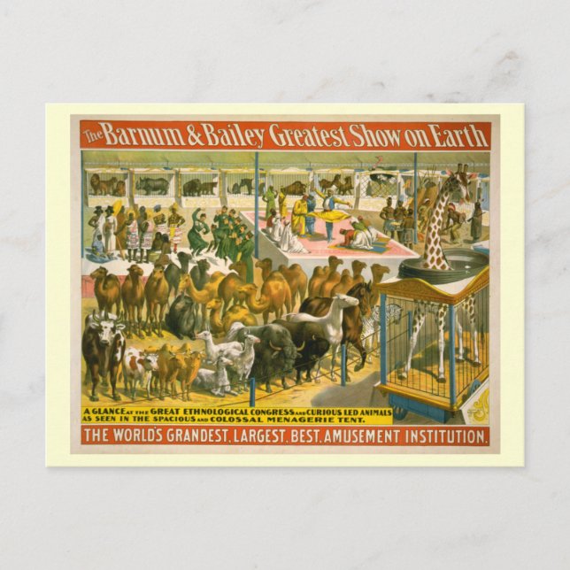 Carte Postale Poster du Barnum & Bailey Circus (Devant)