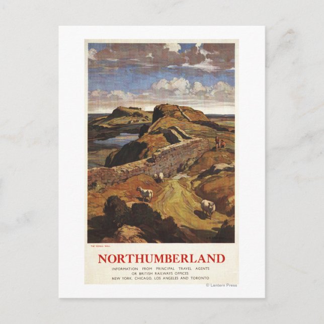 Carte Postale Poster du Mur d'Hadrien et du Mouton britannique (Devant)