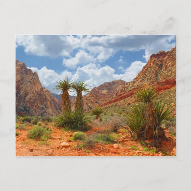Carte Postale Poster du Red Rock Canyon Spring Mountain Ranch (Devant)