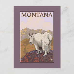 Carte Postale Poster du Vintage voyage de la chèvre de Montana