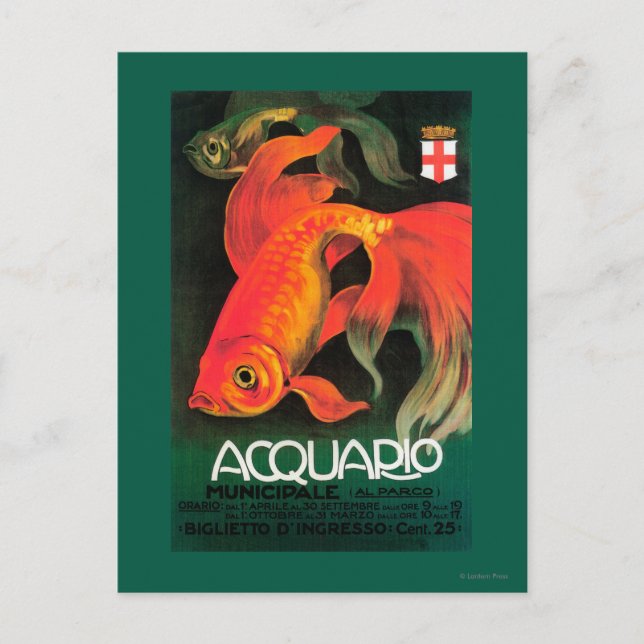 Carte Postale Poster promotionnel Aquarium & Parc Municipal (Devant)