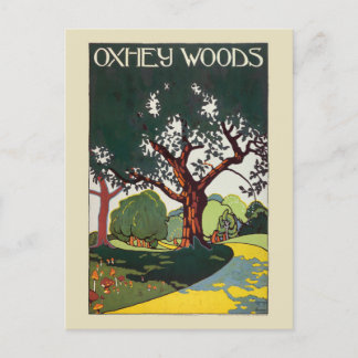 Carte Postale Poster vintage Oxhey Woods 1915