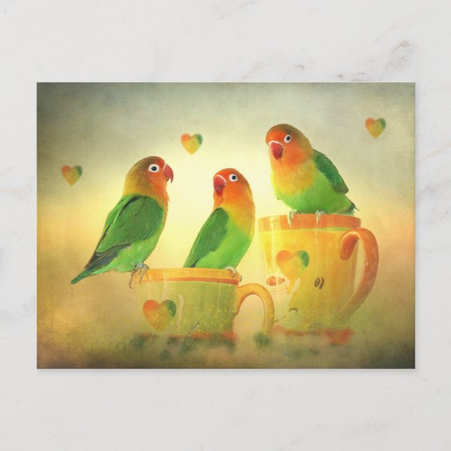 Carte Postale Postkarte (Devant)