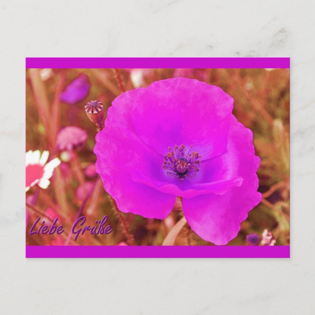 Carte Postale Postkarte (Devant)