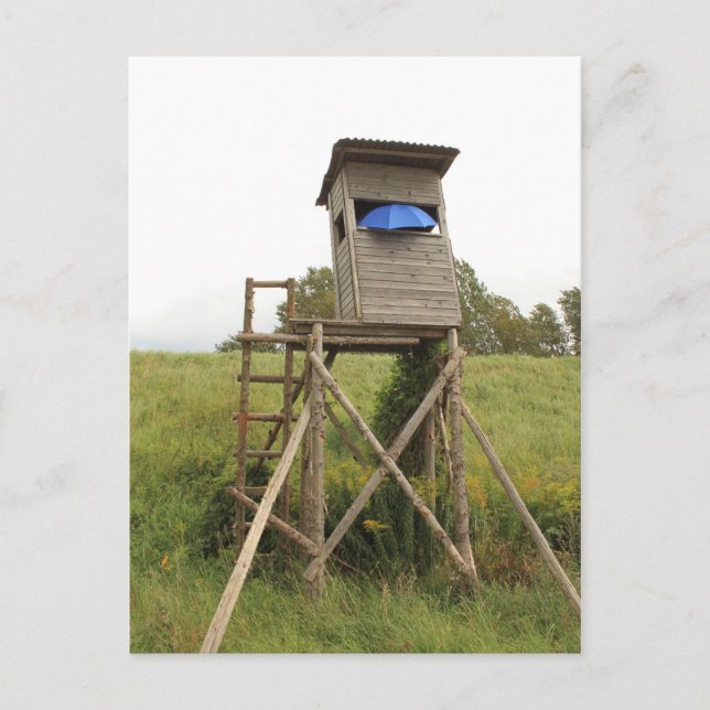 Carte Postale Postkarte - auf der Pirsch (Devant)