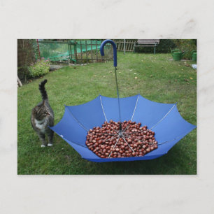 Carte Postale Postkarte - Est-ce que bist du denn ?