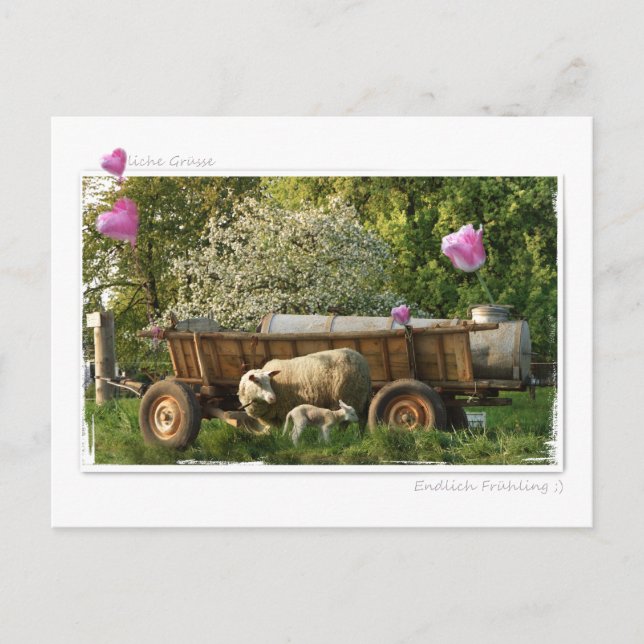 Carte Postale Postkarte : Frühling (Devant)