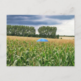 Carte Postale Postkarte - Qualitätskontrolle