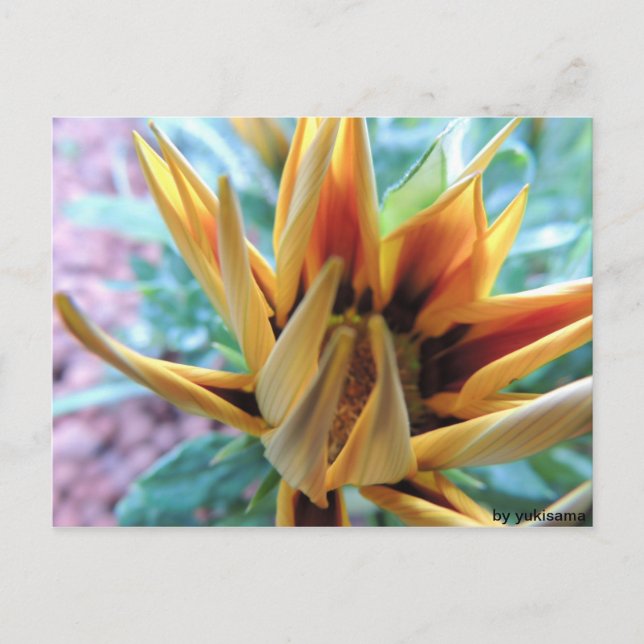 Carte Postale Postkarte - Rouge orange (Devant)