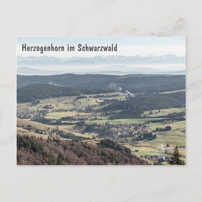 Carte Postale Postkarte Schwarzwald (Devant)