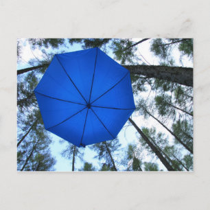 Carte Postale Postkarte - sous les grands arbres