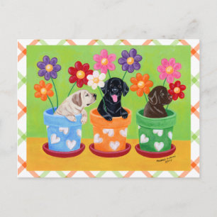 Carte Postale Pot à fleurs Labrador Chiots