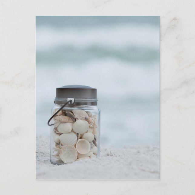 Carte Postale Pot de coquillages sur la plage | la Floride (Devant)