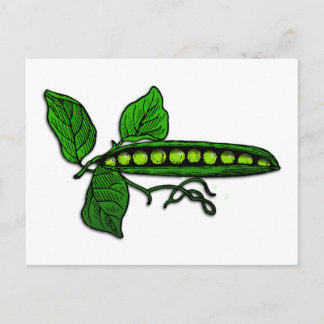 Carte Postale Pots de pois verts du jardin
