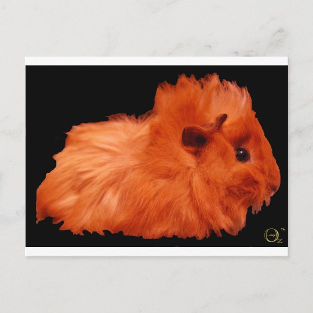 Carte Postale Poudre (Devant)