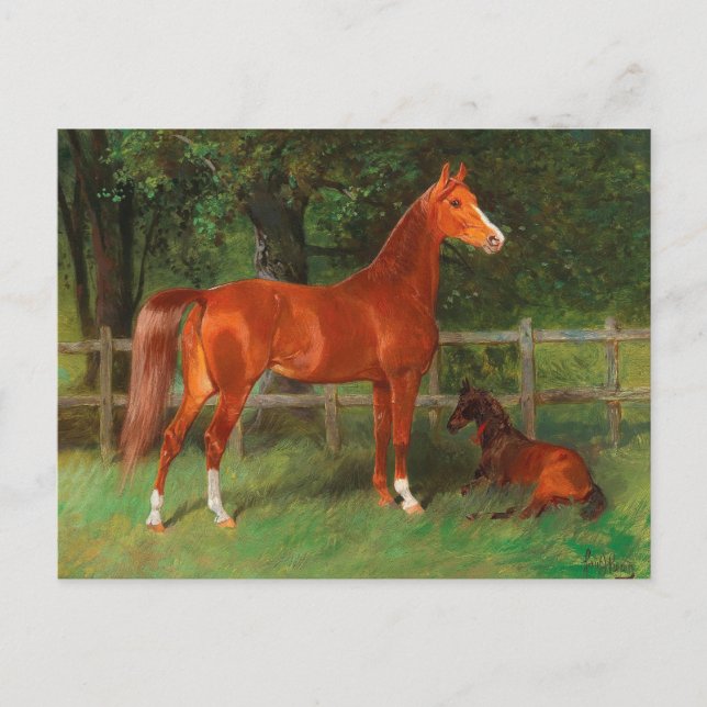 Carte Postale Poulain et châtaignier dans le pré | Hans Haag (Devant)