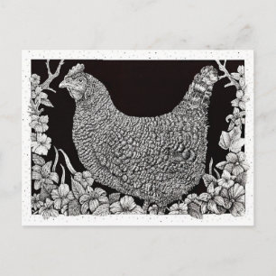 Carte Postale Poule Barred Rock