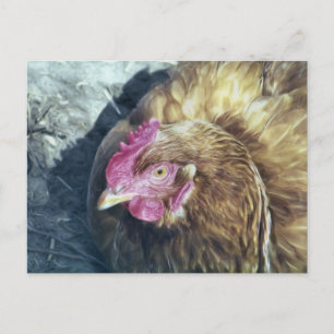 CARTE POSTALE POULET