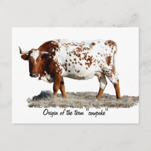 CARTE POSTALE POULET