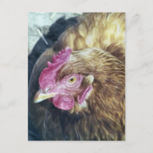 CARTE POSTALE POULET