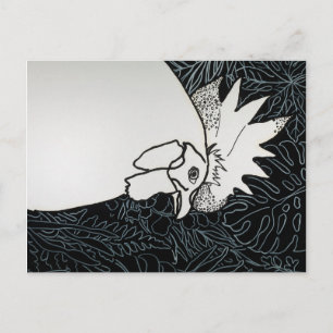 Carte Postale Poulet 1