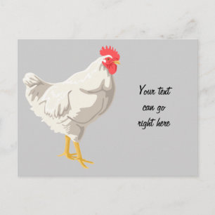 Carte Postale Poulet blanc