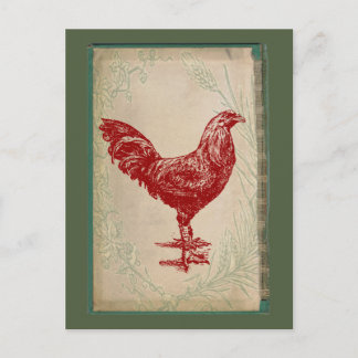 Carte Postale Poulet grunge chic minable de coq rouge vintage