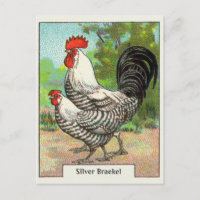 Poulet vintage en argent