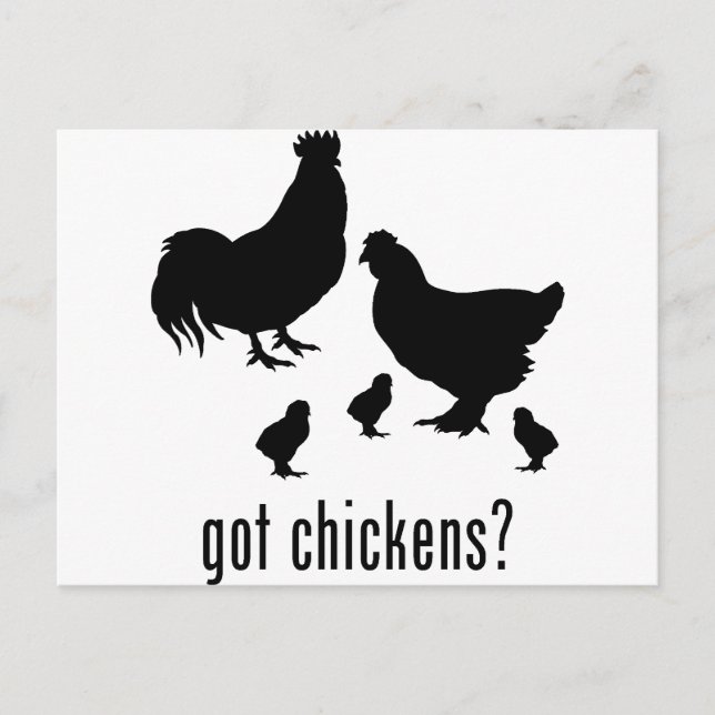 Carte Postale Poulets (Devant)