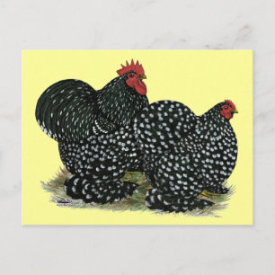 Carte Postale Poulets en coton