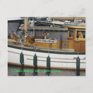 Carte Postale Poulets en mer - Humour
