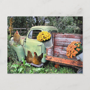 Carte Postale Poulets et vieille camionnette